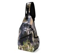 Sling Backpack Fashion Chest Bag Creative Black Labrador Puppy Printing Crossbody Backpacks for Men Women, style, 38x20cm, Full Printed Chest Bag