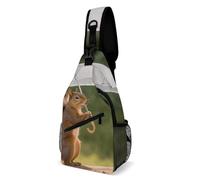 Sling Shoulder Bags Squirrel Hold A Umbrellas Crossbody Unisex Sling Bag Sports Backpack For Cycling Travelling Workout