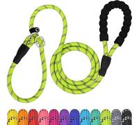 Slip Dog Lead, 2-Meter Reflective Slip Lead with Padded Handle, Training Slip Lead for Small, Medium & Large Dogs | Enhanced Night Safety & Comfort (Green)