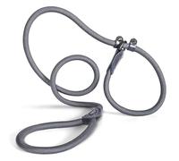 Slip Lead 150 cm for Large & Small Dogs - Collar with Integrated Lead - Slip Leash & Training Lead Dog - Guide Lead for Labrador & Retriever - Shock Absorber (Anthracite, up to 15 kg)
