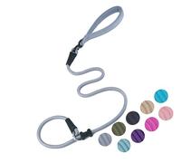 Slip Lead Dog Leash，Strong Nylon Rope Leash and Padded Handle,No Pull Outdoor Walking Training Lead for Small Medium Large Dogs (Grey,1/2"×4ft)
