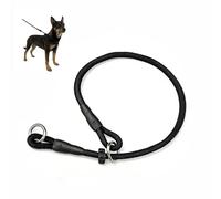 Slip Lead for Dogs,Dog Slip Lead,Obedience Training Half Adjuster Choke Collar Stopper,Nylon Retractable Flexi Duty Long Pull Choker,Field Extendable Bungee Collars for Large Medium Small Puppy(55cm)