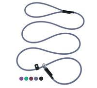 Slip Leads for Dogs - Slip Leash Dog Training Leash, Waterproof, Long-Lasting, 6ft * 1/4'' (Blue, S-M, L)