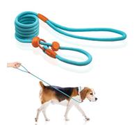 Slip Leads for Puppies & Medium Dogs - 5 FT Training Leash, Lightweight Rope, No Pull, Quick Loop, Blue