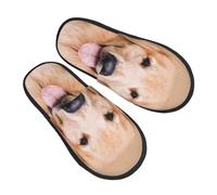 Slipper Golden Retriever Aesthetics Lightweight Camping Slippers Non-Slip Indoor Shoes For Home Winter Holiday M