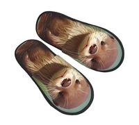 Slippers Cute Otter Reusable Cotton Slippers Fluffy Sliders For Outdoor Trip Hotel M