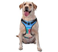 slippers on the beach Printed quick release dog harness reflective pet vest with 2 quick release buckles 4 sizes L ideal for outdoor walks and hikes