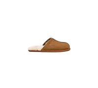 Slippers UGG M Scuff (chestnut) Men