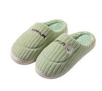 Slippers Women's Winter Warm Felt Slippers Plush Closed Felt Slippers Couples Fluffy Slippers Non-Slip Slippers Flat Hut Shoes Cute Slippers, Light green, 4.5 UK