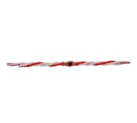 SLNDOKTG Rakhi for brother | Rakhi for Brother | Rakhee Bracelet on Festival of Raksha Bandhan for Brothers | Made by fine Threads Rudraksha,Evil Rakhi Set of 1