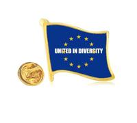 Slogan Aim Diversity Integration Golden Metal Flag Lapel Pin Badge