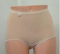 Sloggi Womens Basic+ Maxi Briefs 4 Pack - Beige Cotton - Size 7XL
