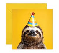 Sloth Birthday Card - Cute Animal with Party Hat - Greeting Card for Him, Her, Friends, Teens, Kids, Men, Women, Son, Daughter, Colleague -Sweet Smile - Comes with Stickers