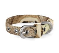 Sloth Family Pet Collar Oxford Adjustable Safety Dog Collars Cute Outdoor Training Pet Collars Easy Clean Floral Print Puppy Collar for City Pet Owners