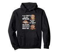 Sloth Lover I'm Not Crazy I'm Just Special Maybe I Crazy Pullover Hoodie