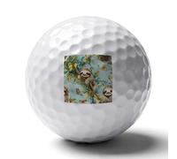 Sloth On A Tree Tropical Butterfly Golf Balls for Men Golfers Distance Straighter Shots Funny Ball