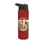 Sloth Panda Tree Branch Relaxed Playful Charming Animal Stainless Steel Insulated Water Bottle