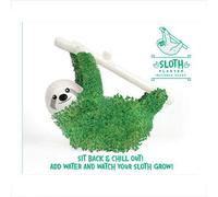Sloth Planter Chia Seed Grow Kit