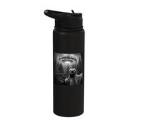 Sloth Selfie with UFO - Funny Encounter Alien Lover Stainless Steel Insulated Water Bottle
