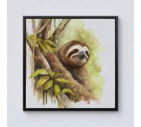Sloth Watercolour Framed Canvas Warren Reed - Designer Black W16 inch x H16 inch