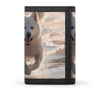Sloth with Musical Notes on Background Trifold Wallet Front Pocket Coin Purse - Slim Credit Card Holder for Men & Women, Running on the Beach, One Size, Classic