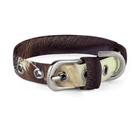 Sloth with Sunglasses Pet Collar Oxford Adjustable Safety Dog Collars Cute Outdoor Training Pet Collars Easy Clean Floral Print Puppy Collar for City Pet Owners