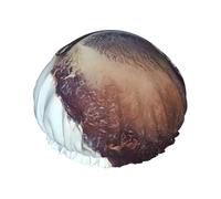 Sloth with sunglasses Print Shower Cap for Women & Men â€“ Reusable Double-Layer Bath Hair Cap with Elastic Strap One Size