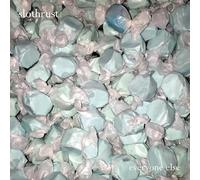 Slothrust - Everyone Else [VINYL]