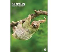 Sloths 2026 Calendar, A3, Wirobound, Full Colour