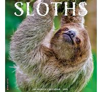 Sloths 2026 Wall Calendar