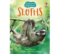 Sloths (Beginners)