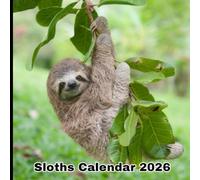 Sloths Calendar 2026