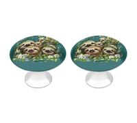 Sloths Funny Funny Cabinet Knobs 2 Pack Round Drawer Dresser Pulls Door Handles Knobs for Door Wardrobe
