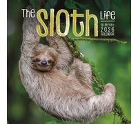 Sloths Square Wall Sunday Start Calendar