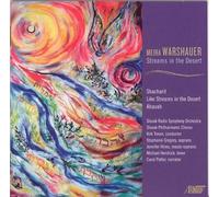 Slovak Radio Symphony Orchestra - Meira Warshauer: Streams In The Desert