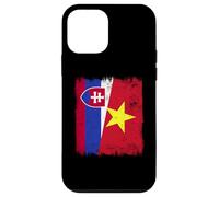 Slovakia Vietnam Half Flag Slovakian Vietnamese History Case for iPhone 12 mini