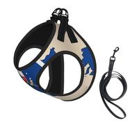 Slovenia Flag Map02 Print Harness Leash Set For Cat And Small Dog, Adjustable, Reflective, And Escape-Proof Vest With Soft Breathable Mesh Lining
