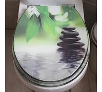 Slow Close Toilet Seats, Heavy Duty Resin Material Anti-Bacterial Toilet Seats with Adjustable Stainless Steel Fixings, Removable Noisy Free, for O/U/V Loo Seat
