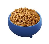 Slow Dogs - Cat Food Plate with Anti-Gagging | for Cats that Eat Slowly | for Puppies and Small Medium Pets Feeding Indoor Outdoor