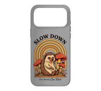 Slow Down The World Can Wait - Retro Hedgehog Mushroom Case for iPhone 17 Pro Max