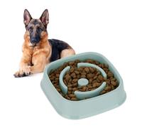 Slow feeder dog bowl Anti-Gulping Pet Dish 800 ml Slow Feeding Dog Bowl Non-slip