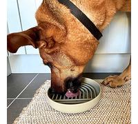 Slow Feeder Dog Bowl, Cat Bowls. Silicone Modern Fun Puzzle Food Grade, BPA Free Lick Mat for Healthy Eating, Stops Gulping & Choking. Non Slip & Dishwasher Safe. Small to Medium Dogs & Cats (Blush)