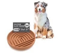Slow Feeder Dog Bowl: The Slowdown Bowl is A Modern, Silicone Puzzle Bowl & Lick Mat. Slow Eating, Stop Gulping, Take It Easy. This Slow Feeding Bowl is Dishwasher Safe. (Terracotta)
