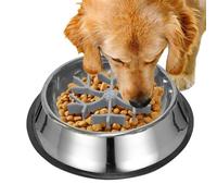 Slow Feeding Bowl Against Swallowing