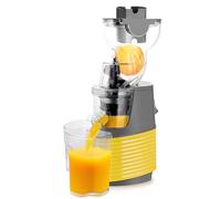 Slow Masticating Juicer Machine, 76mm Diameter Cold Press Juicer for Fruits and Vegetables, Professional Multifunction Juice Extractor