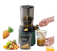 Slow Masticating Juicer Machine, Professional Cold Press Juicer with 13cm Feeding Chute and Quiet Motor, Reverse Function for Fruits Vegetables