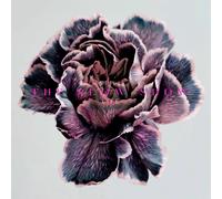 Slow Show Still Life CD NEW