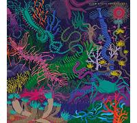 Slow Steve - Adventures [VINYL]
