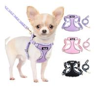 SlowTon No Pull Dog Harness with Leash - Adjustable Breathable Puppy Harness, Reflective Pet Harness for Small Medium Dogs Outdoor Walking Training