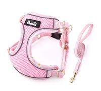 SlowTon No Pull Dog Harness with Leash - Adjustable Breathable Puppy Harness, Reflective Pet Harness for Small Medium Dogs Outdoor Walking Training